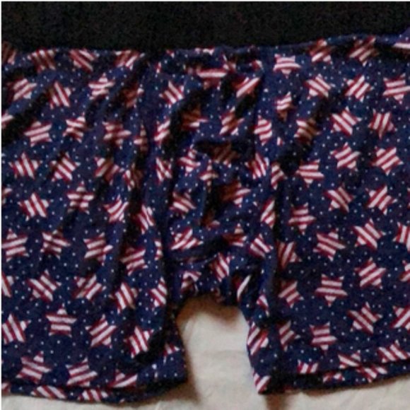 Boxer brief Stars & Stripes mens new size M waist 32-34" Silkskins Terramar - Picture 1 of 2